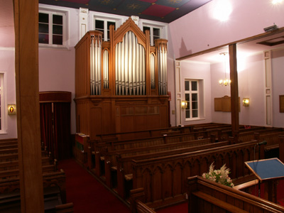 Highlighted
                  organ pipes.